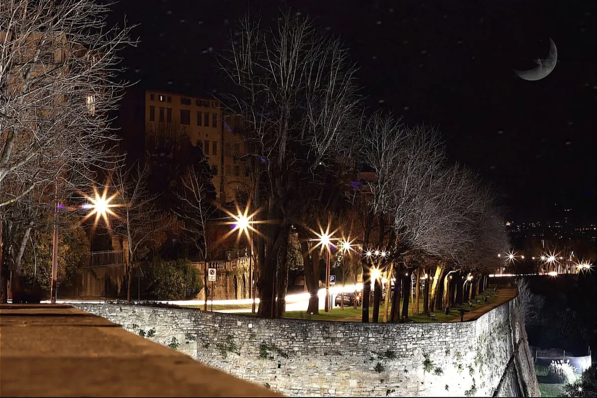 Viale alberato innevato illuminato dai lampioni di notte